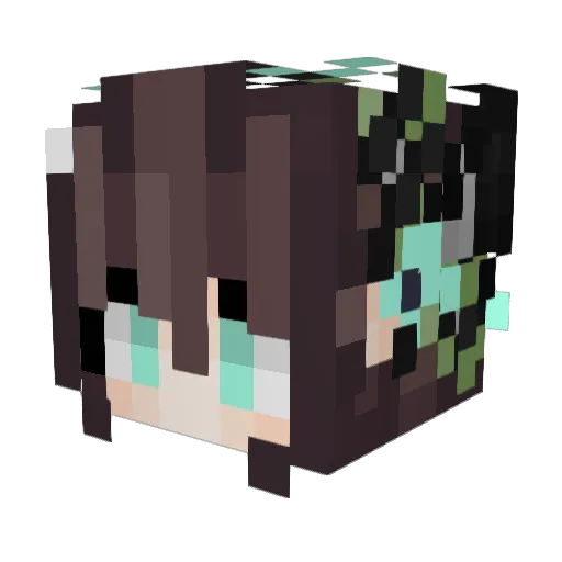 fackbisch_9 Minecraft avatar head, 3D render