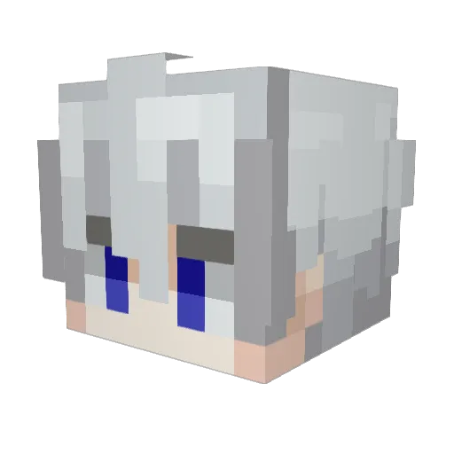 factw27 Minecraft avatar head, 3D render