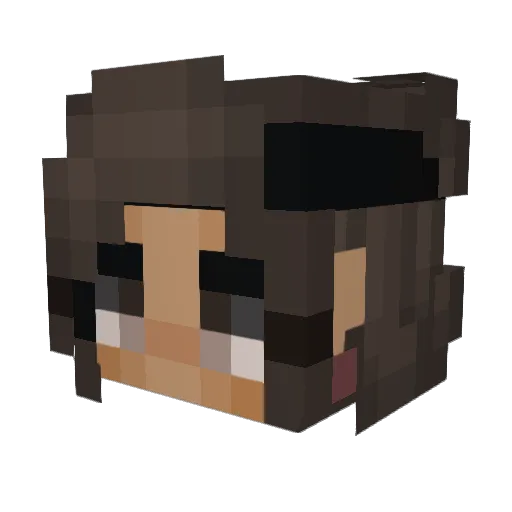 fad1nq Minecraft avatar head, 3D render