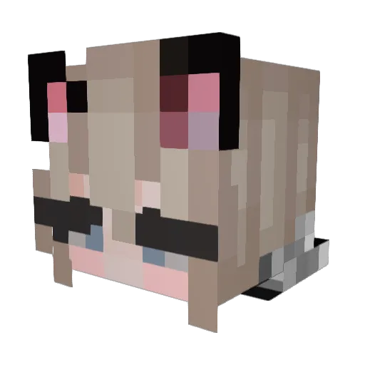 faddishbadger32 Minecraft avatar head, 3D render