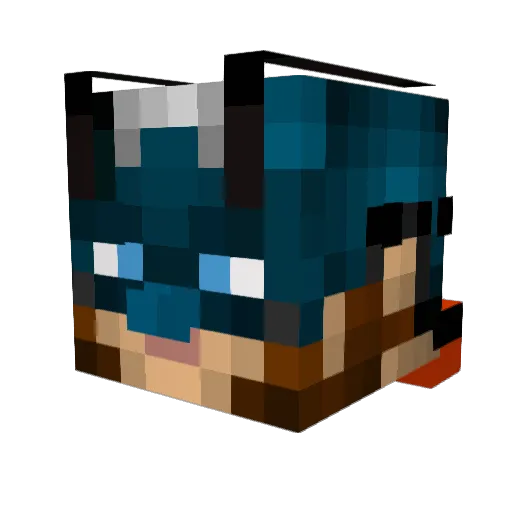 faddyduckling06 Minecraft avatar head, 3D render