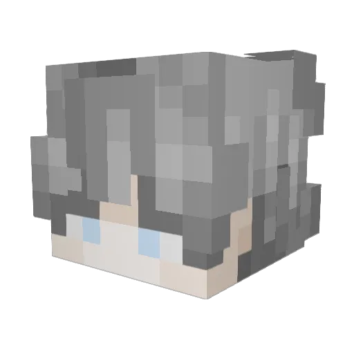 fadle Minecraft avatar head, 3D render
