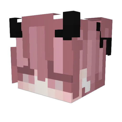 faectrl Minecraft avatar head, 3D render