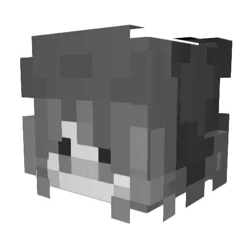 faeest Minecraft avatar head, 3D render