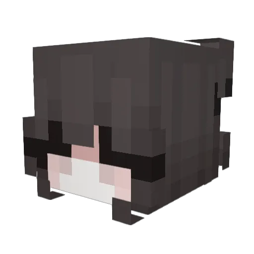 faefelle Minecraft avatar head, 3D render
