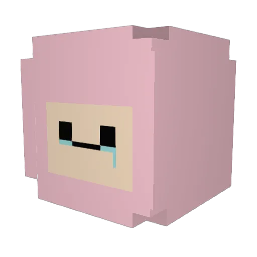 faefjaerer Minecraft avatar head, 3D render