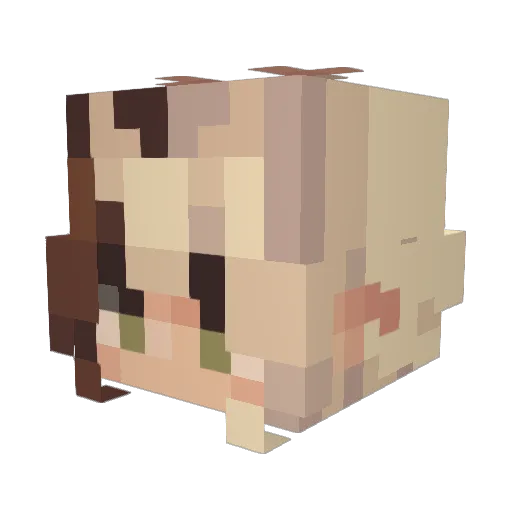 faejay Minecraft avatar head, 3D render