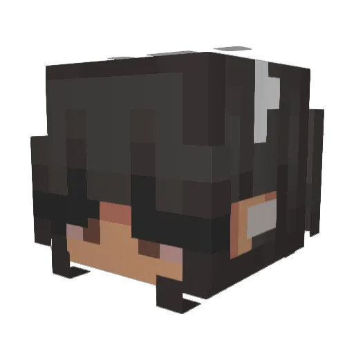 faenyx Minecraft avatar head, 3D render