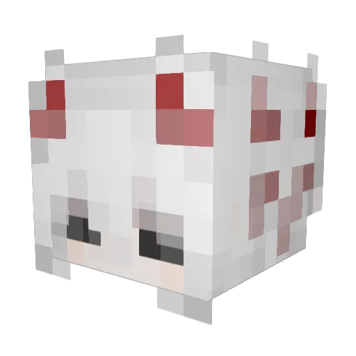 faer996 Minecraft avatar head, 3D render