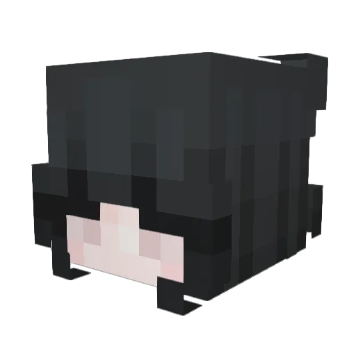 faeriefys Minecraft avatar head, 3D render