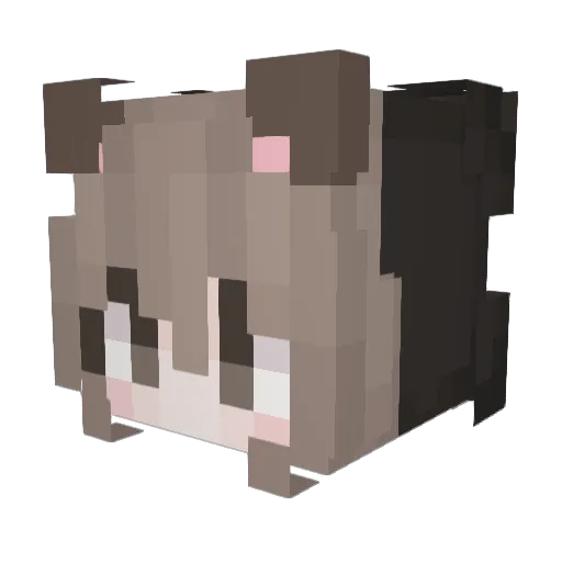 faeriesxo Minecraft avatar head, 3D render