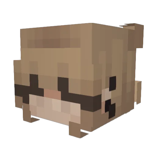 faeryfawn Minecraft avatar head, 3D render