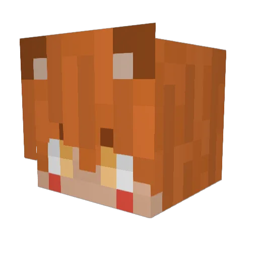 fafsz Minecraft avatar head, 3D render