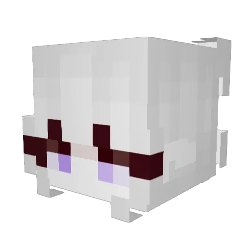 fagatka Minecraft avatar head, 3D render