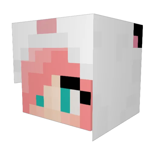 fagg0ttr0n Minecraft avatar head, 3D render