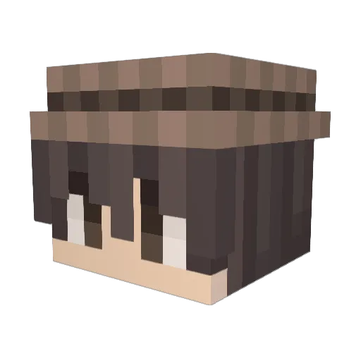 fahrenheitjooj Minecraft avatar head, 3D render
