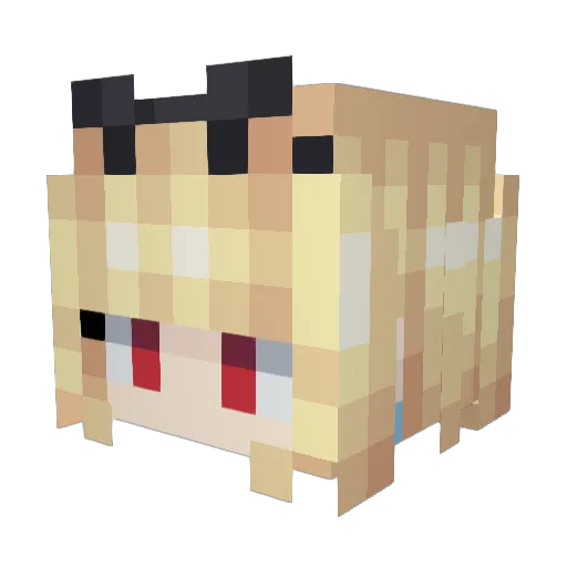 fai328 Minecraft avatar head, 3D render