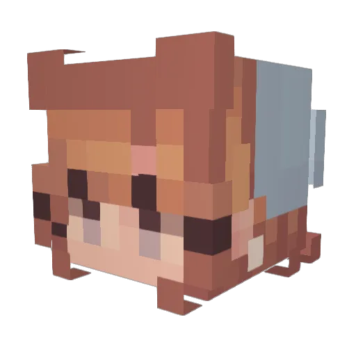 faia8 Minecraft avatar head, 3D render