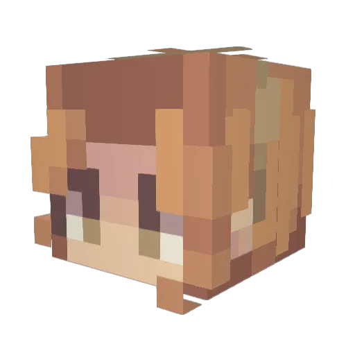 faildaughter Minecraft avatar head, 3D render