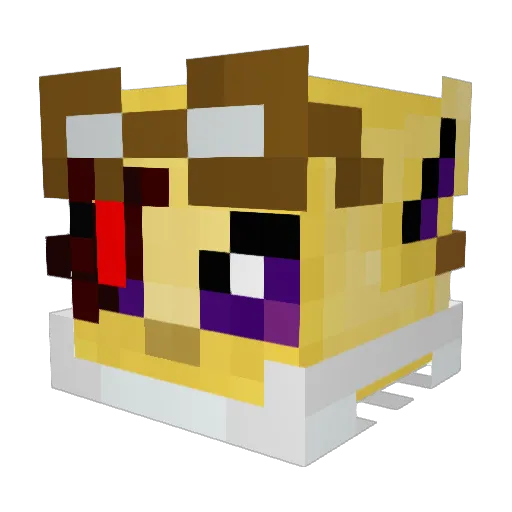 failedchild Minecraft avatar head, 3D render