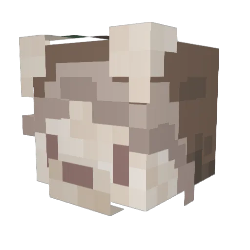 failpuppy Minecraft avatar head, 3D render