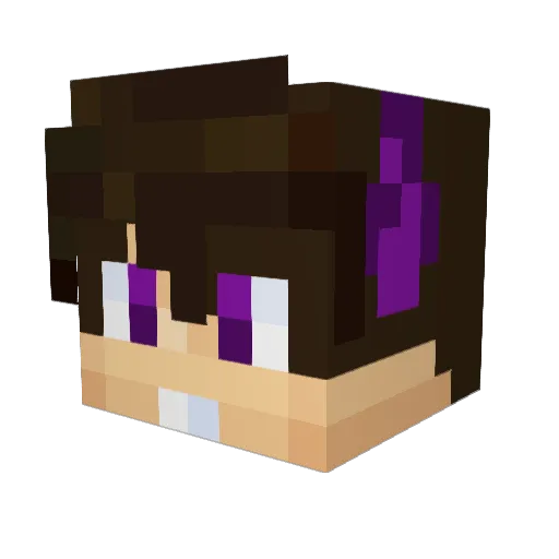 faintes Minecraft avatar head, 3D render