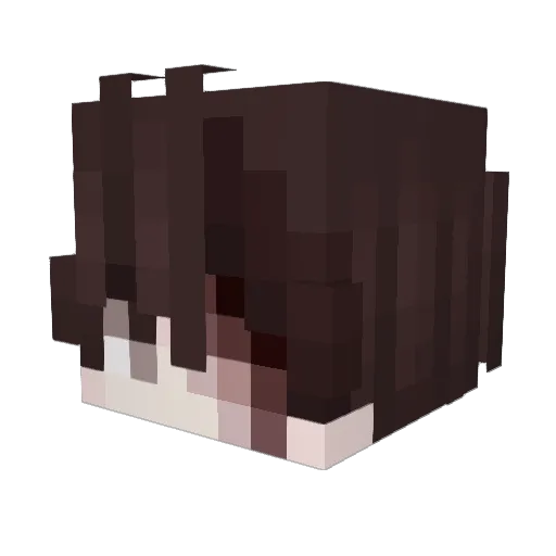faintpulse Minecraft avatar head, 3D render