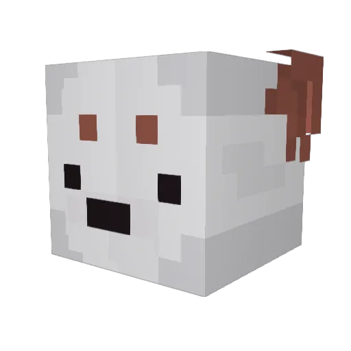 faireebust Minecraft avatar head, 3D render