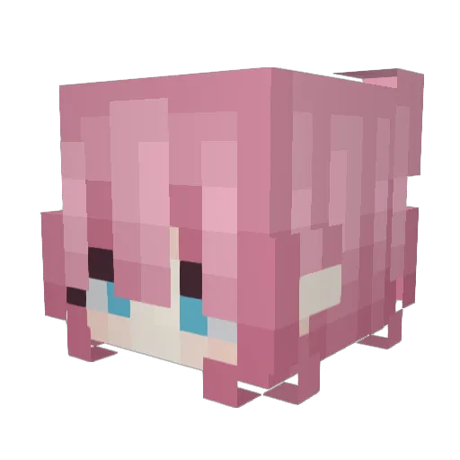 fairiizon Minecraft avatar head, 3D render