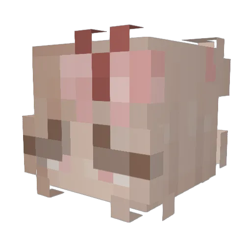 fairiys Minecraft avatar head, 3D render