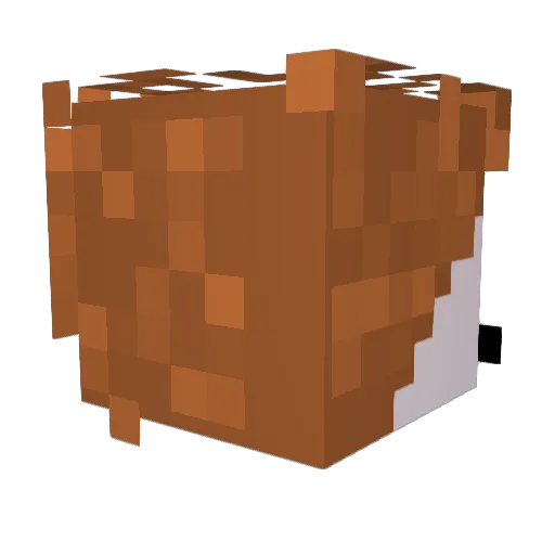 fairladyy Minecraft avatar head, 3D render
