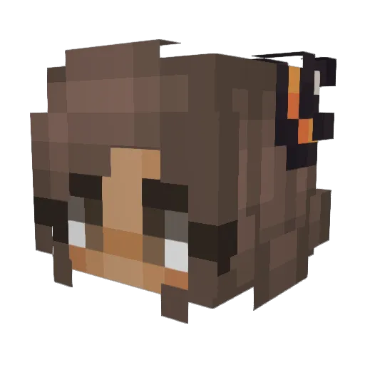 fairy_bread Minecraft avatar head, 3D render