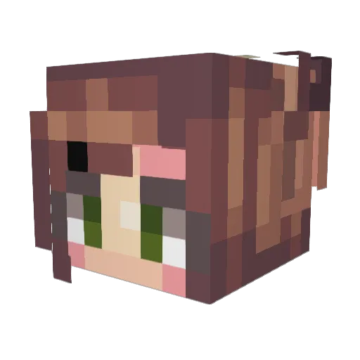 fairyblueberry Minecraft avatar head, 3D render
