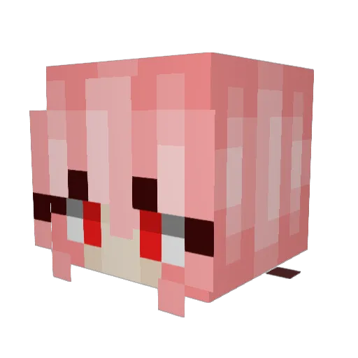 fairycoochie Minecraft avatar head, 3D render
