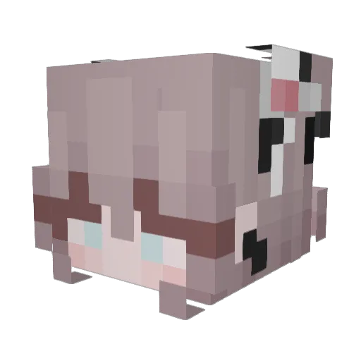 fairyie Minecraft avatar head, 3D render