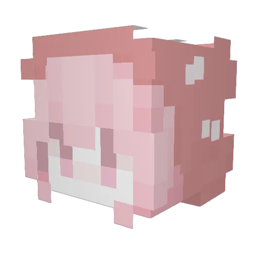 fairyleafia Minecraft avatar head, 3D render