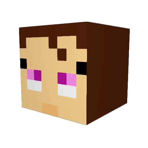 fairypetal Minecraft avatar head, 3D render