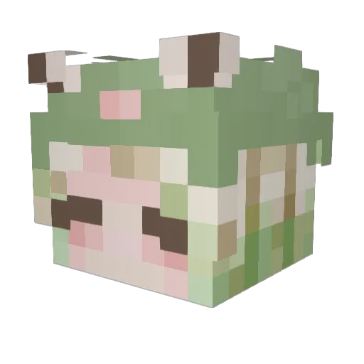fairyspoon Minecraft avatar head, 3D render
