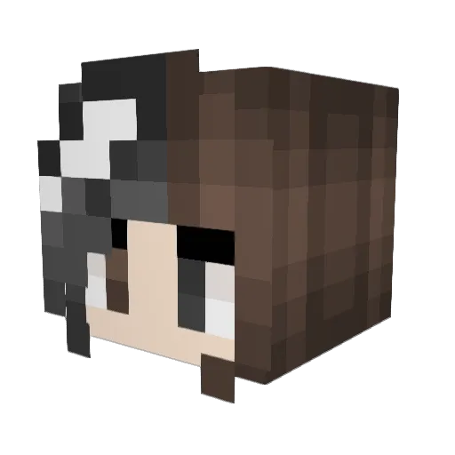 fairytern Minecraft avatar head, 3D render