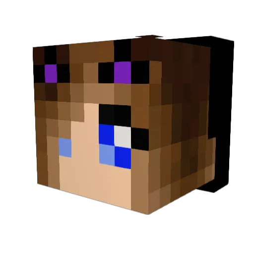 fairywillow Minecraft avatar head, 3D render