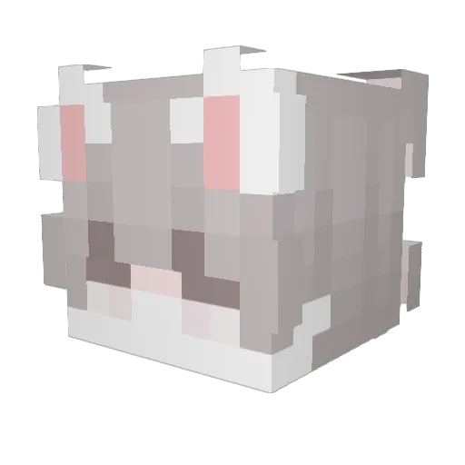 fairyyy666 Minecraft avatar head, 3D render