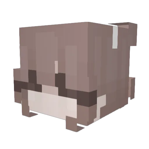 faithchism Minecraft avatar head, 3D render