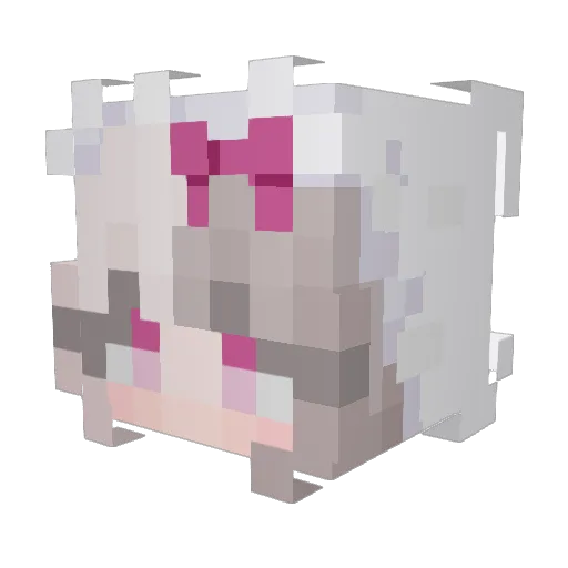 faithjanee Minecraft avatar head, 3D render
