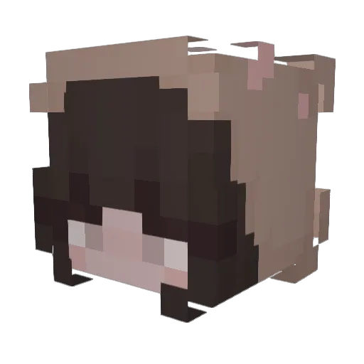 faithycatt Minecraft avatar head, 3D render
