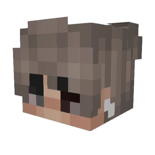 faiyded Minecraft avatar head, 3D render
