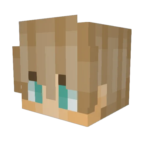 fajg Minecraft avatar head, 3D render