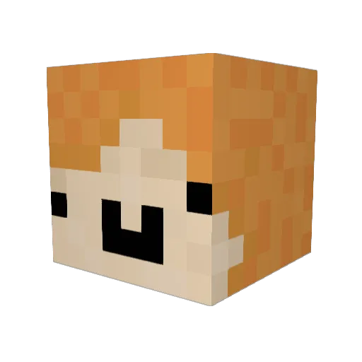 fajny_stas Minecraft avatar head, 3D render