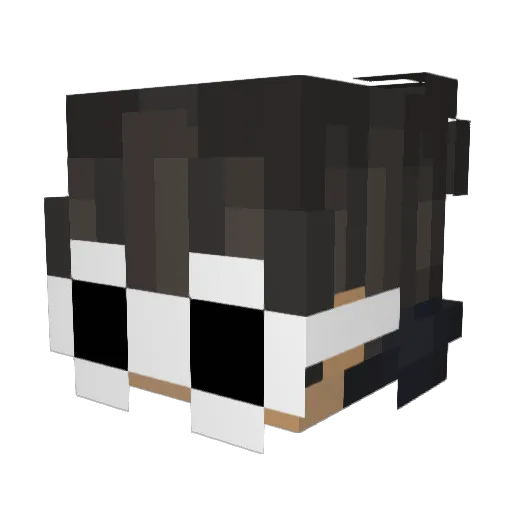 fakcorpse Minecraft avatar head, 3D render