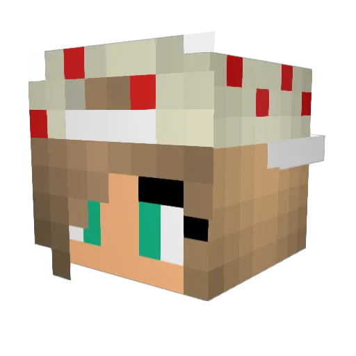 fakeAcake Minecraft avatar head, 3D render