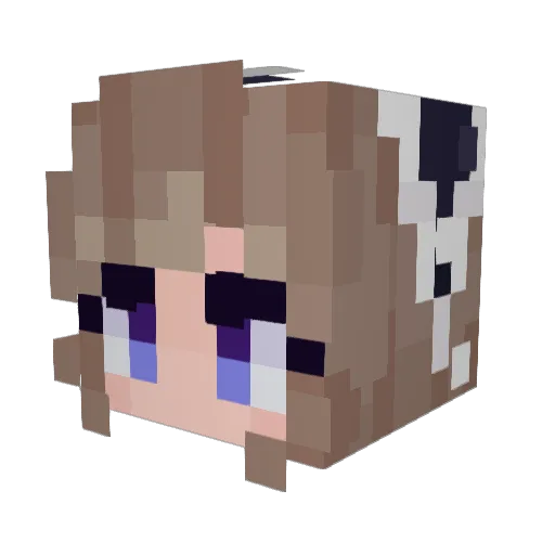 fakefacts Minecraft avatar head, 3D render